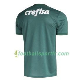 Tenue Palmeiras Domicile 2018-2019 Maillot de Foot